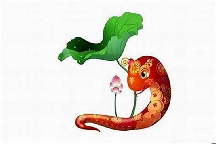 属蛇的人一生命运