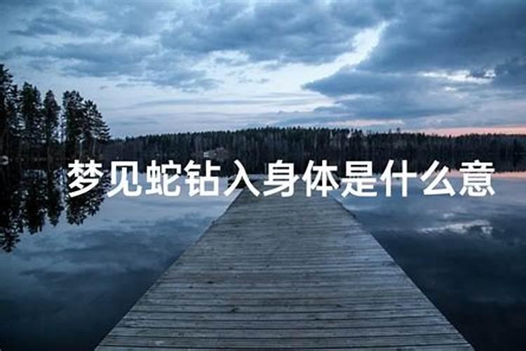 梦见蛇钻进自己的身体又拽出来了预兆什么