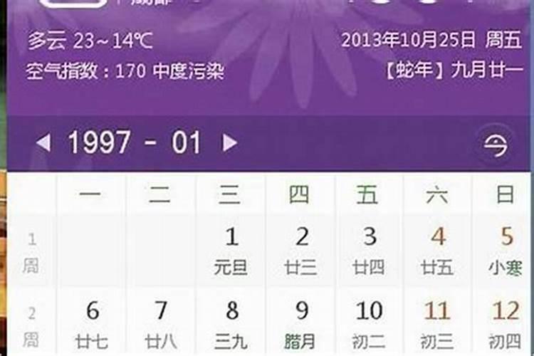 1997年农历8月初四己时出生人运程