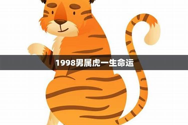1998年的属虎人一生财运如何？