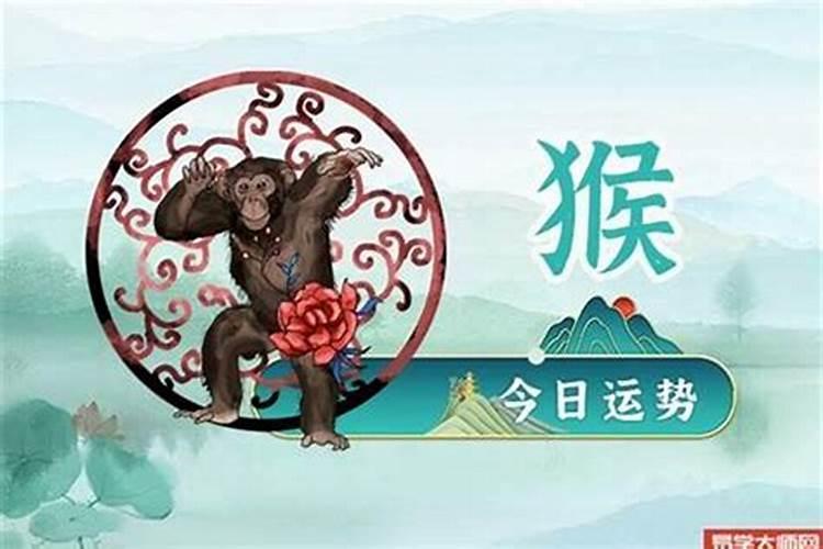 属猴人的命运和财运