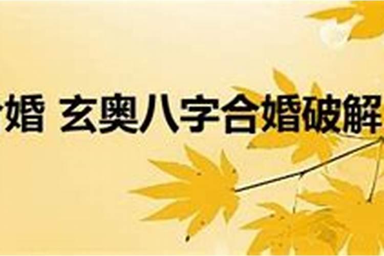近五行属什么