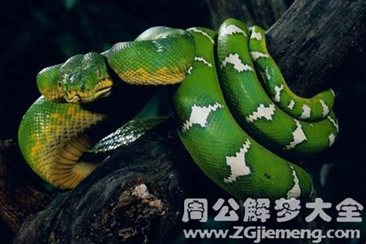 梦到打碎杯子有什么征兆