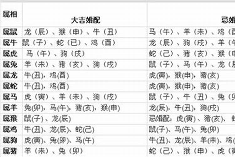 12生肖婚配歌诀有依据吗,生肖合婚靠谱吗