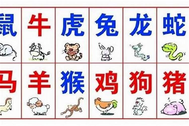 属相婚配真的靠谱吗？