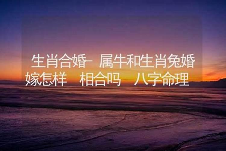 清明节上坟打纸的一点民俗