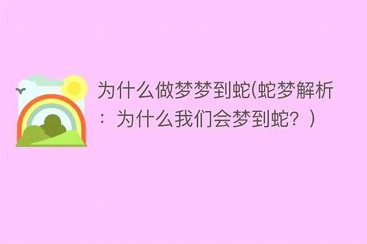 2025生肖狗的运势大全 属狗人2025年每月运势