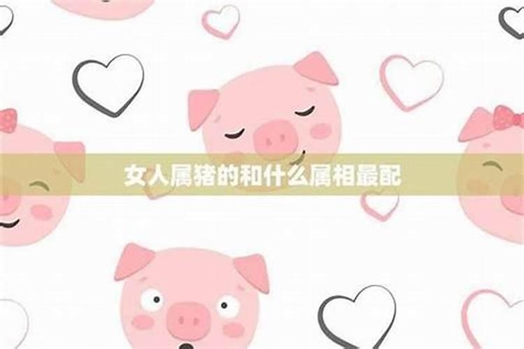 属猪人的最佳婚配属相