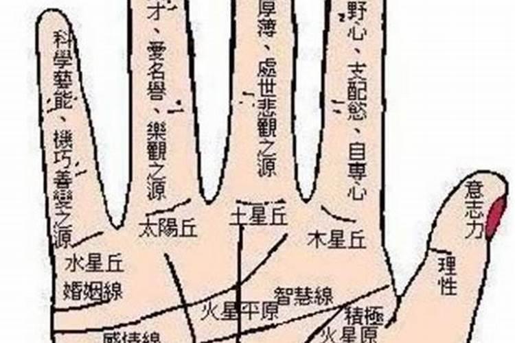 手相看人生手相看人生与命运吉凶