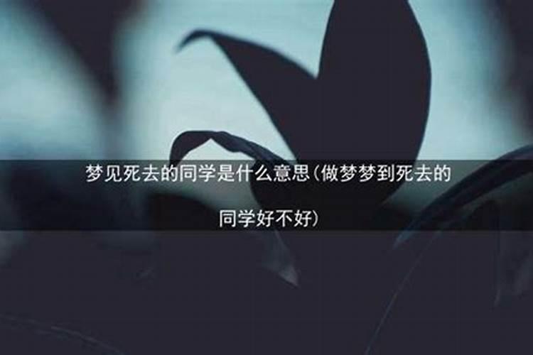 梦见死去的旧同学来家里