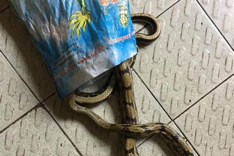 打算去东台观音禅寺为堕胎婴灵超度,大概是什么样的流程？