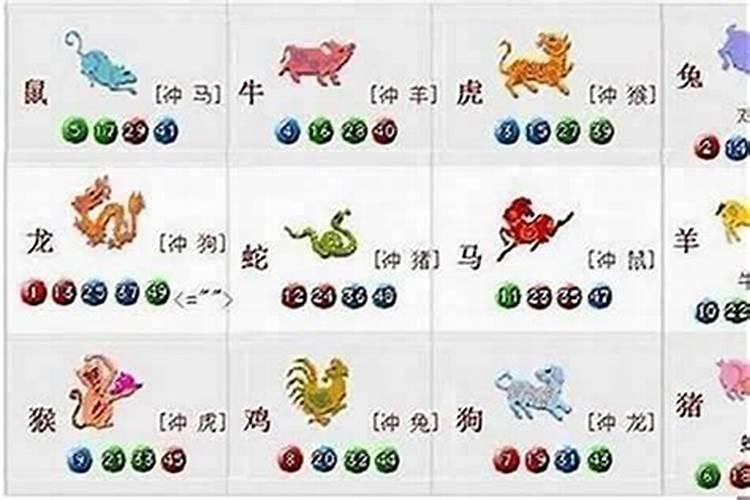 属兔爸爸和虎宝宝八字合不合 兔虎配对乃小吉？