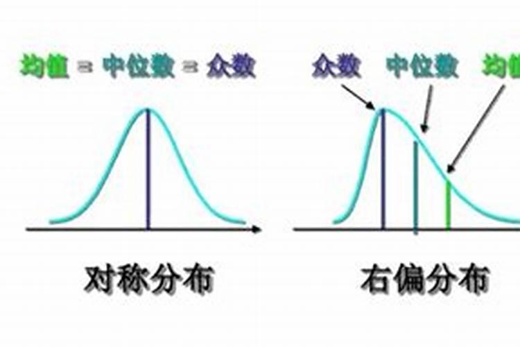 梦见猫扑到自己身上
