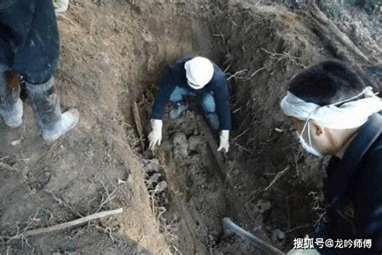 破太岁犯太岁是什么意思,破太岁什么时候去破去