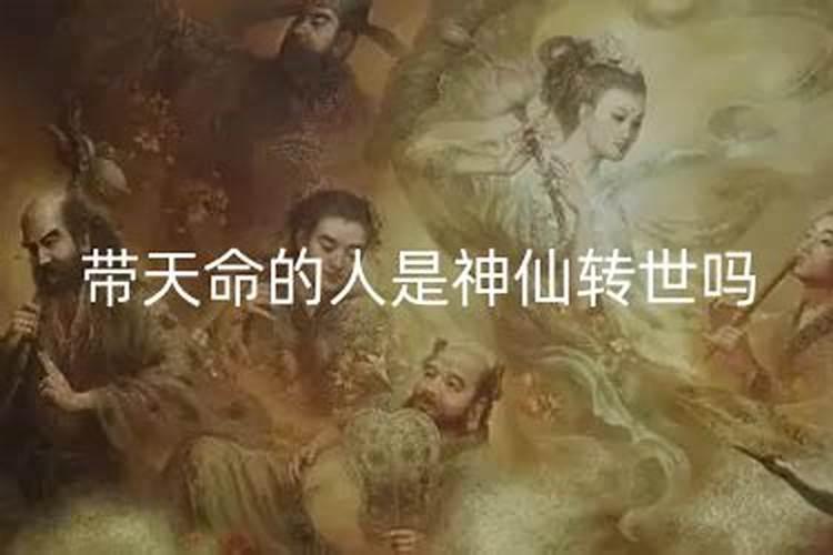 算命说的童子指什么