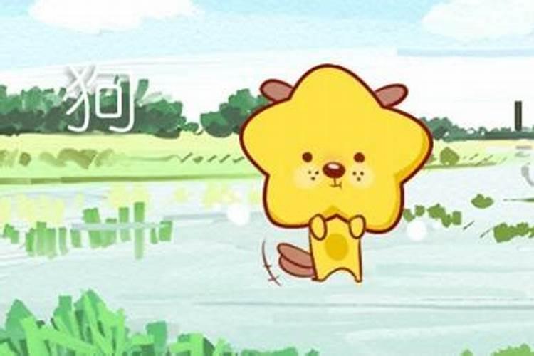 鸡狗属相不合吗？