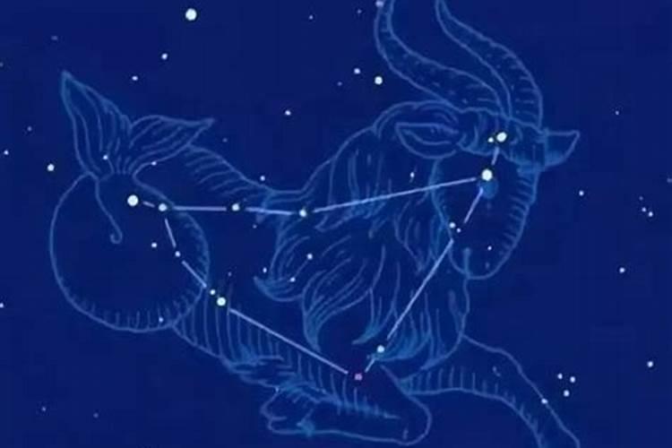 新浪星座摩羯座今日运势