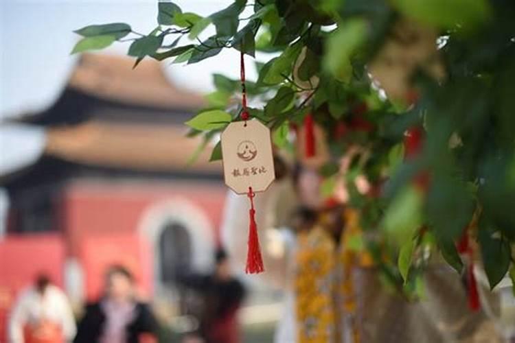 2025年4月4日什么冲什么