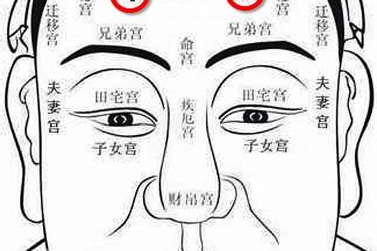 子女缘淡薄,面相看父母子女是否聚少离多