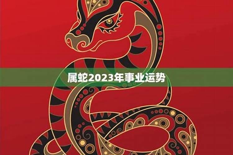 属虎人2025全年运势详解 属虎人2025年每月运势