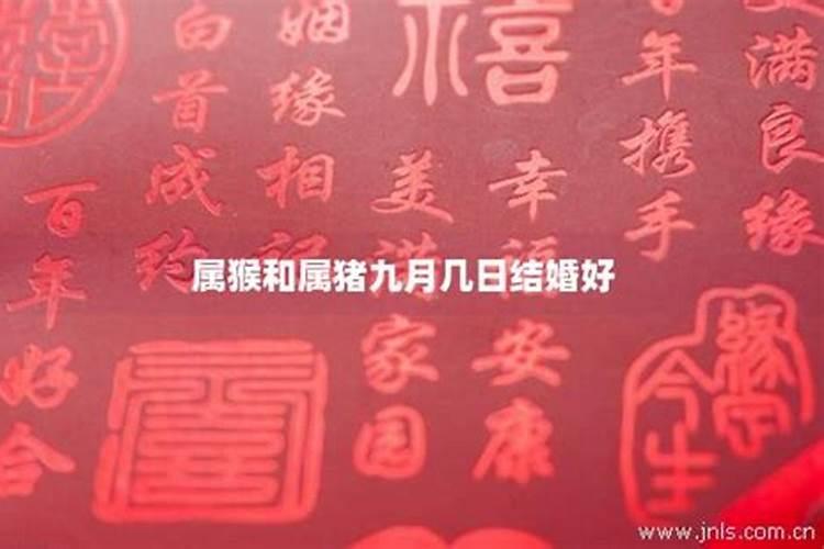 1991年农历9月初9是什么星座？