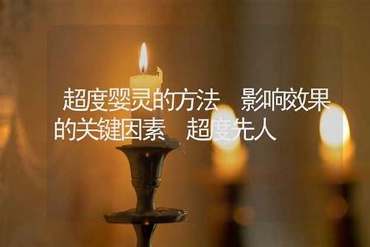 老鼠和兔子属相合不合