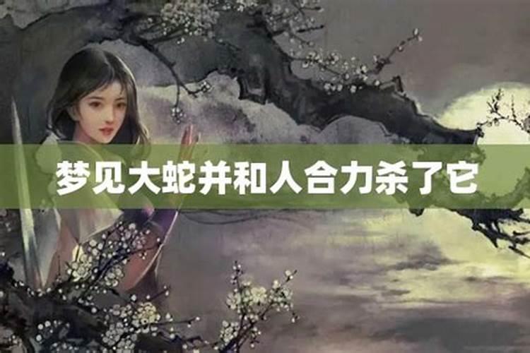 梦见蛇被砍断了头的预兆