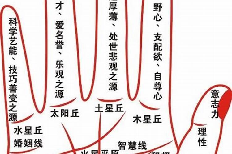 什么手相的女人婚姻不顺