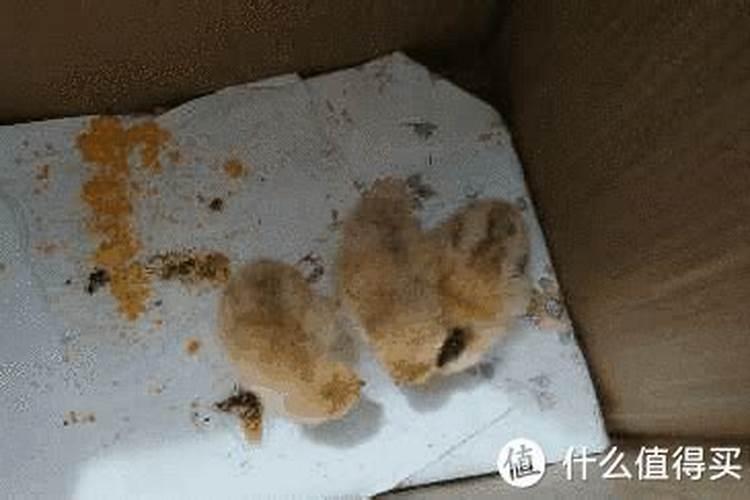 今年立秋是几点几分2024