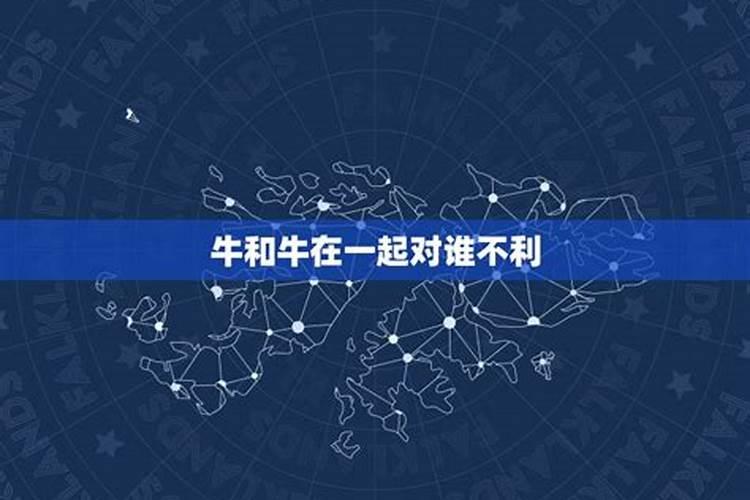 属牛男和属牛女的婚姻