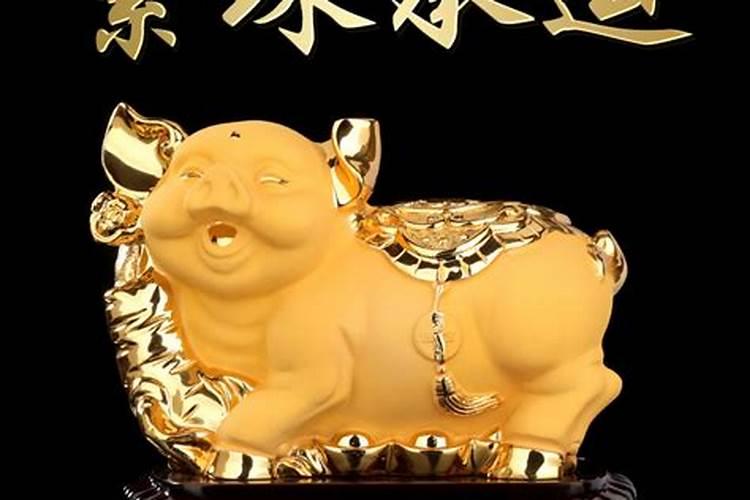 属猪家里挂什么最旺