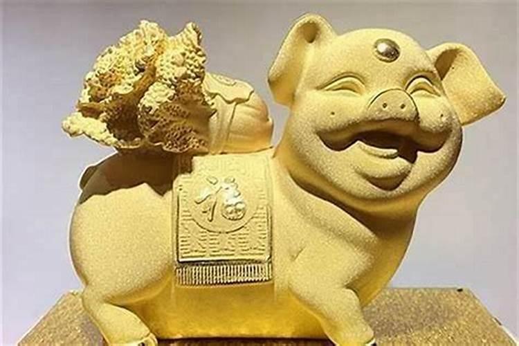 主人属猪家里放什么摆件好
