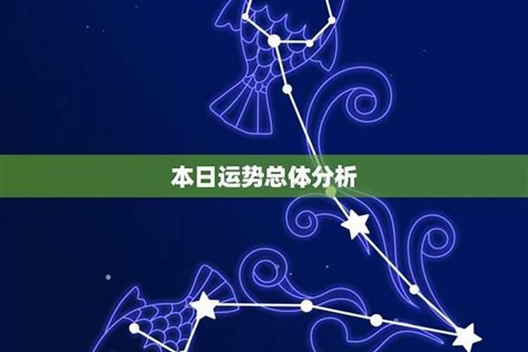 属龙处女座今日运势