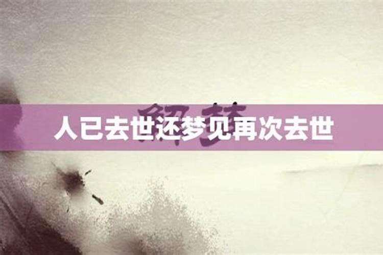 梦见猫狗一窝的预兆