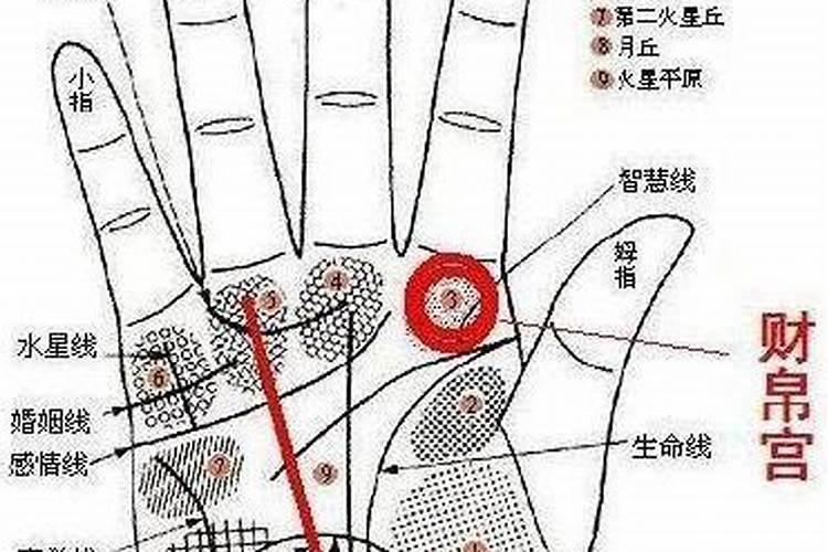 手相财帛宫在哪个位置 手相中的财帛宫代表什么