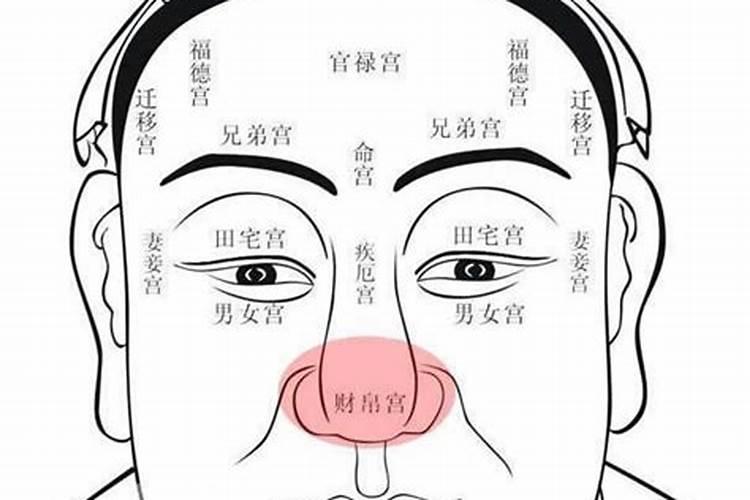 面相中财帛宫是什么位置 鼻子看富贵