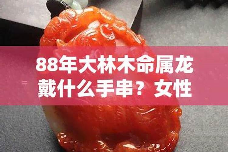 88年属龙人一生运势