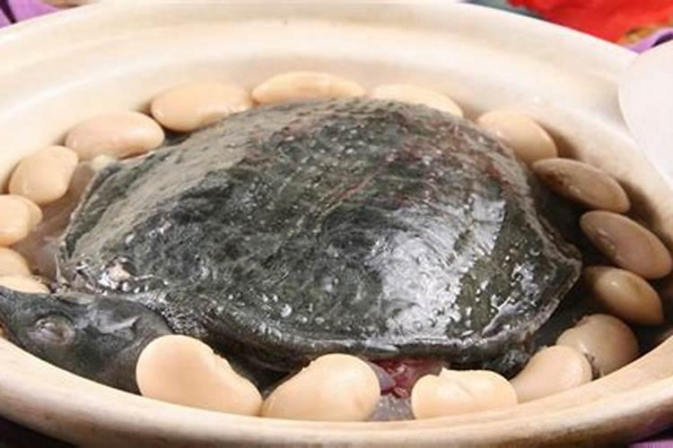 梦见河沟里有乌龟甲鱼