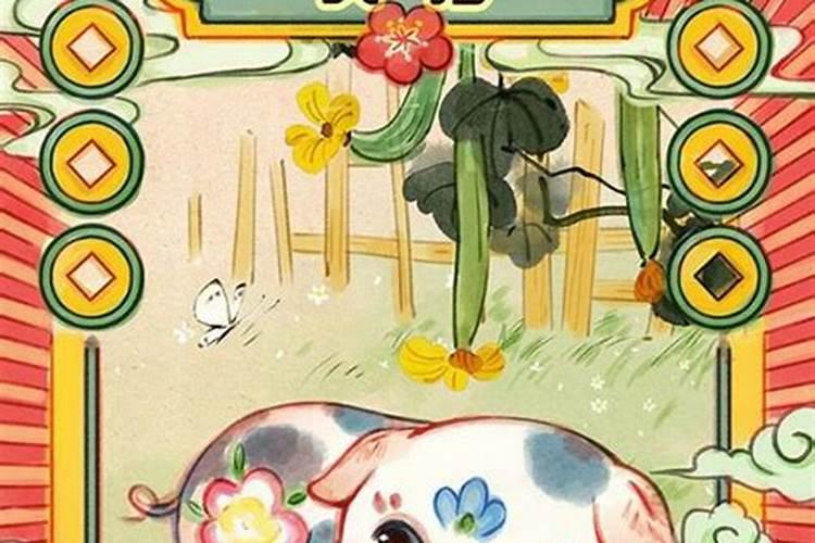 属兔人啥年运势最旺