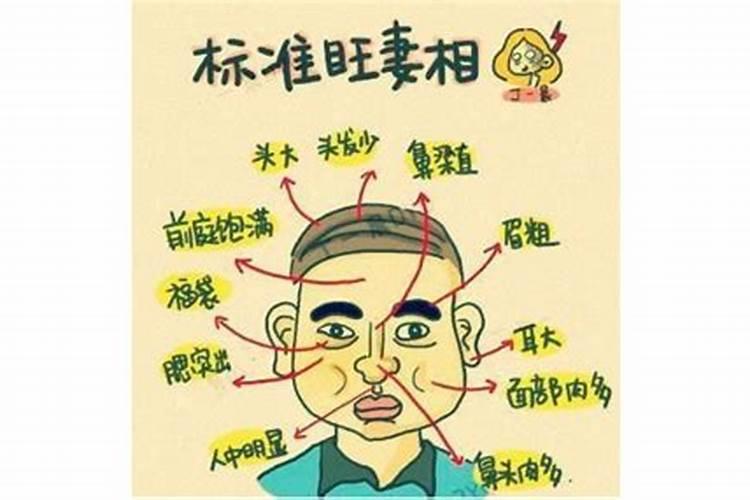 旺妻的男人面相特征有哪些？