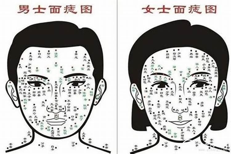 我是74年腊月二十五生的、是属虎还是属兔
