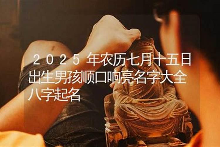2024年七月十五出生王姓男孩名字