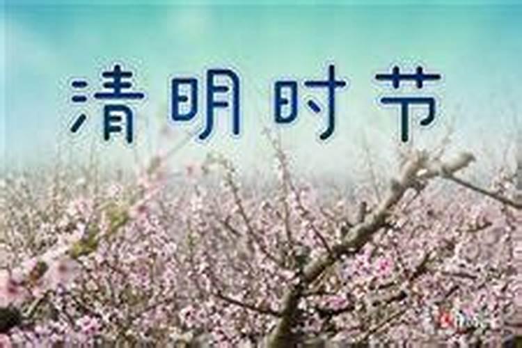 清明时辰是几点