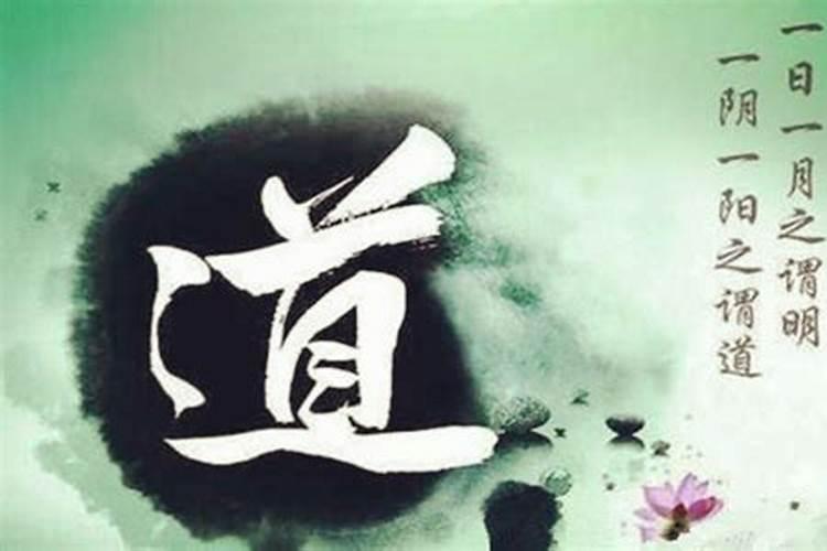 五月猴女的命运怎么样,1992年女猴5月初5命运怎么样