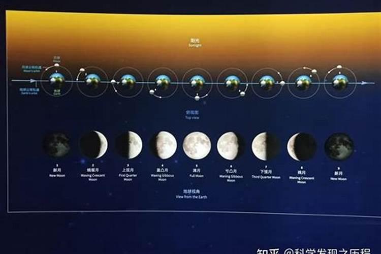 请问什么是朔望之日？