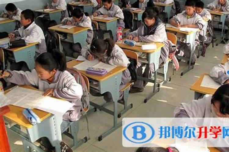 中考前20天,我们该做什么？