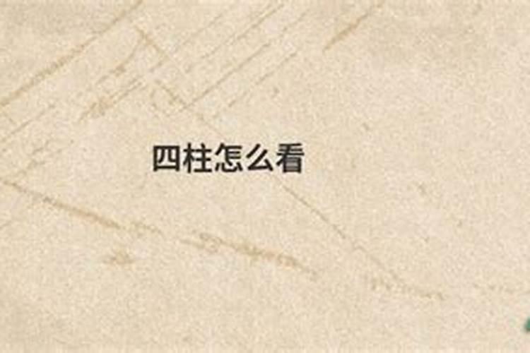 八字的四柱代表什么意思