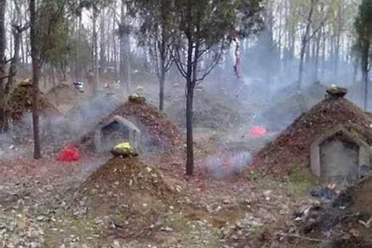 梦见我家坟地被挖的预兆