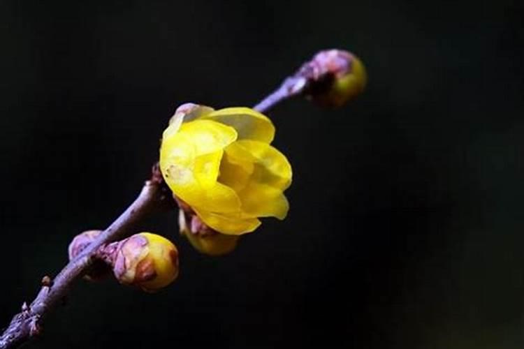 清明节适合去爬山吗
