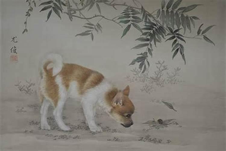 属狗的人哪年犯太岁 2017年2018年都犯太岁？